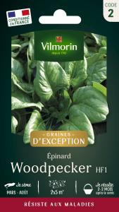 Epinard Woodpecker HF1 - Graines d'Exception